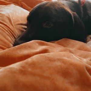 Meet your Posher, Arielle